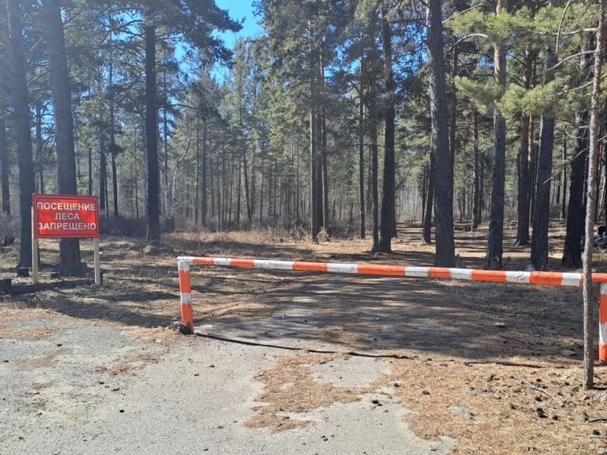 Дополнительные меры для защиты населения и территорий от природных пожаров вводятся в Забайкалье